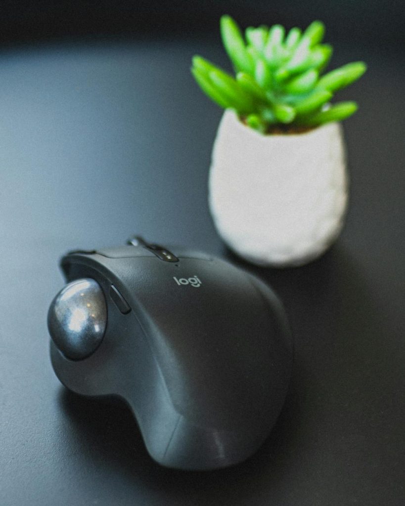 trackball mouse